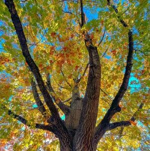 Meet your Posher, Shae